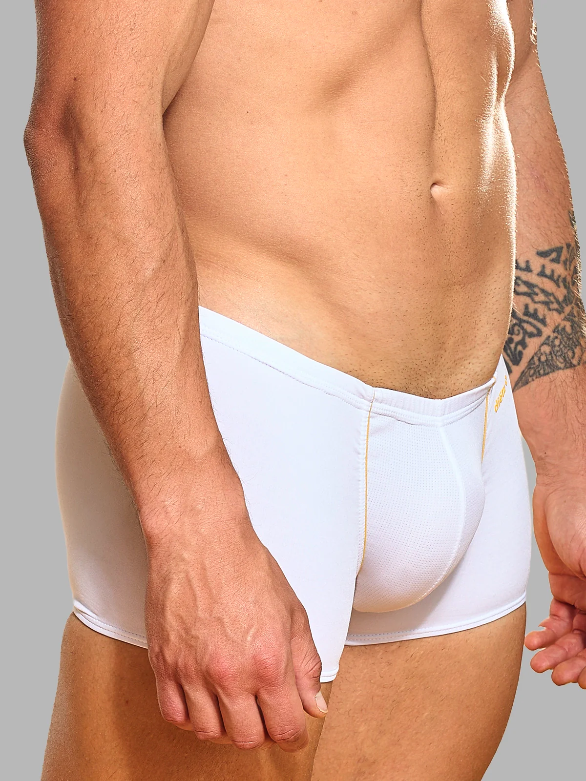 Boxer Thunder Blanco - Image 4